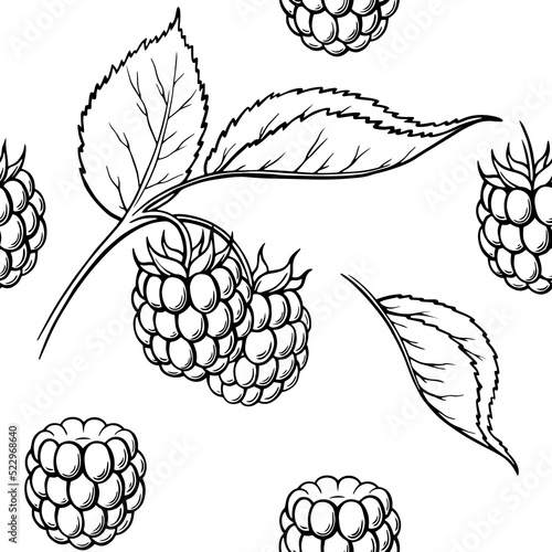 raspberry seamless