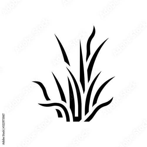 pygmy chain sword glyph icon vector. pygmy chain sword sign. isolated symbol illustration