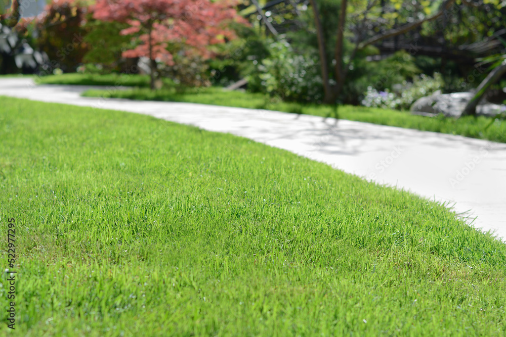 Beautiful park with plants and walkway, focus on green grass Beautiful park with plants and walkway, focus on green grass