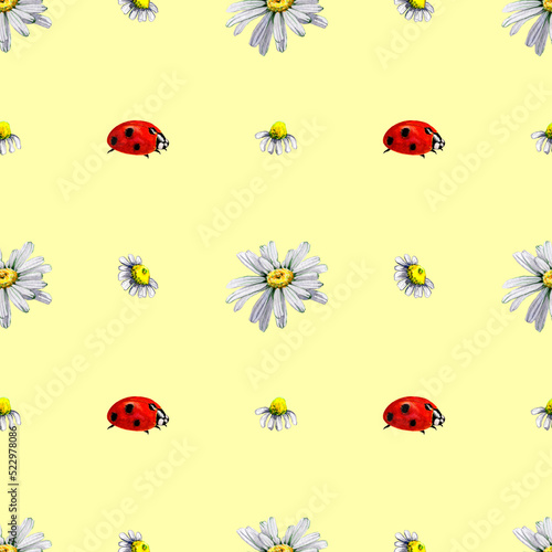 Seamless pattern chamomile ladybug watercolor. Summer background of buds of white daisy flowers. Flowering plant. Hand drawn botanical illustration. Fabric design, packaging.