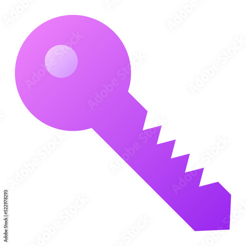 Key Icon