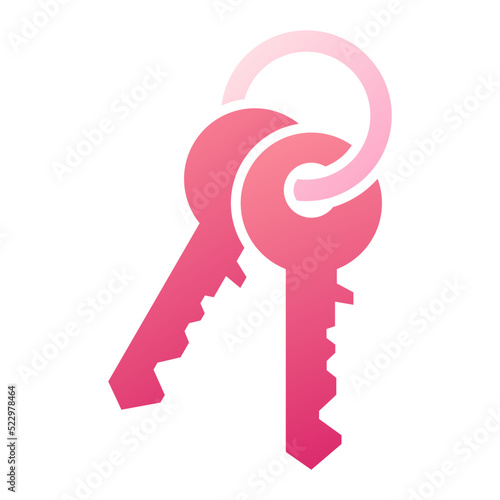Key Icon