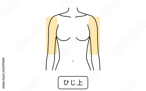 女性の脱毛イラスト　パーツ別、ひじ上