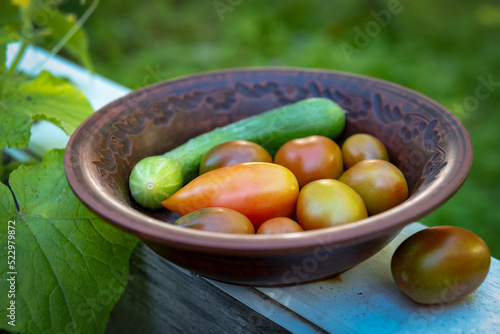 Fresh vegetables in a ceramic plate outdoor in summer