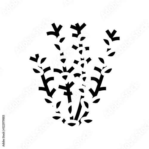red ludwigia glyph icon vector. red ludwigia sign. isolated symbol illustration