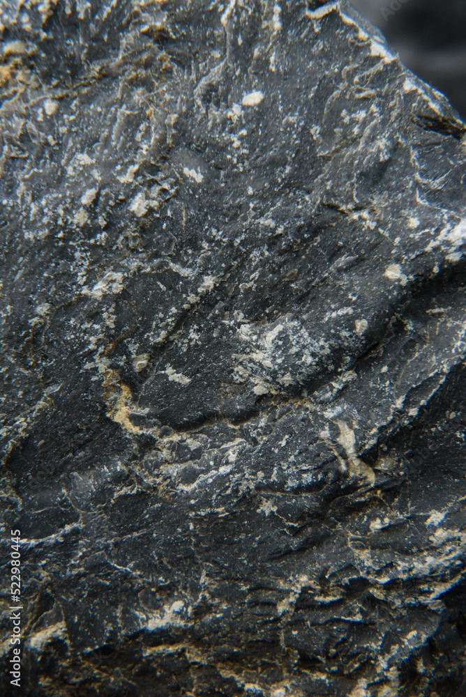 natural stone background natural stone background