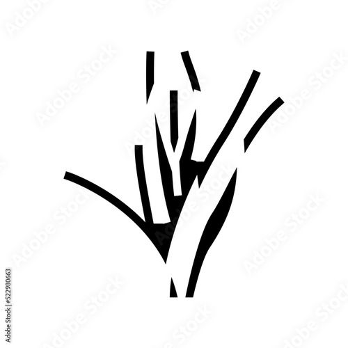 vallisneria spiralis glyph icon vector. vallisneria spiralis sign. isolated symbol illustration