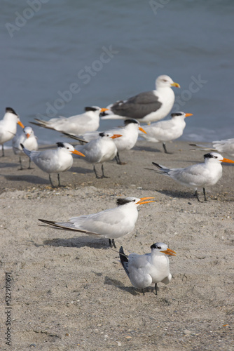 A winter day at the beach at Indialantic Florida