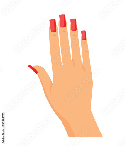 hand with manicure. vector illustration. female hand with red legs. manicure