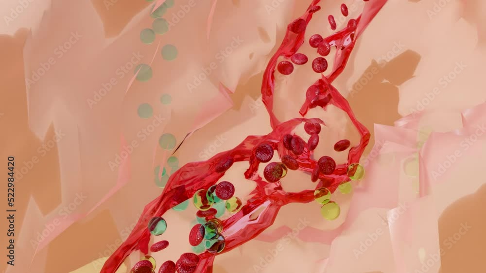 Pituitary Gland Secretes Follicle stimulating Hormone Or FSH And pituitary-gland-secretes-follicle-stimulating-hormone-or-fsh-and