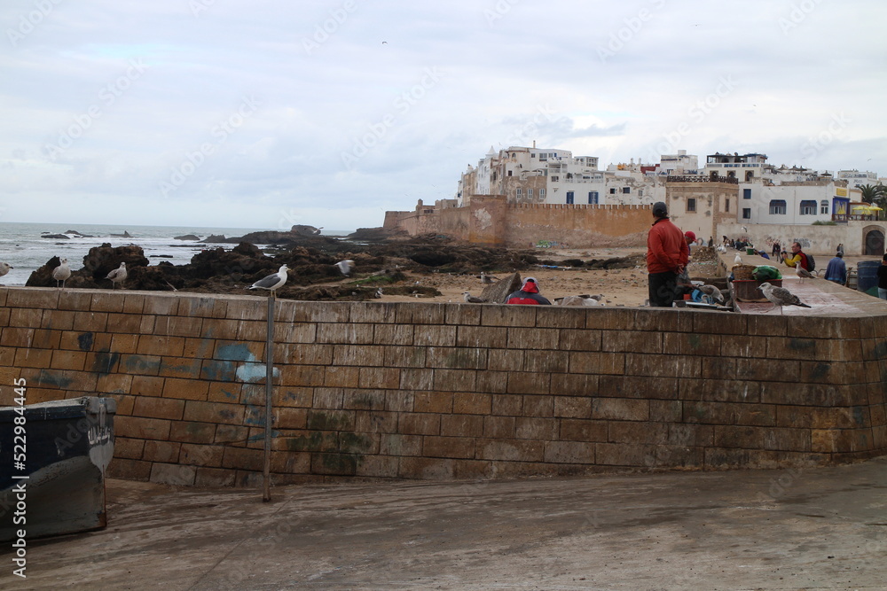 View to centre of Essaouira, Morocco