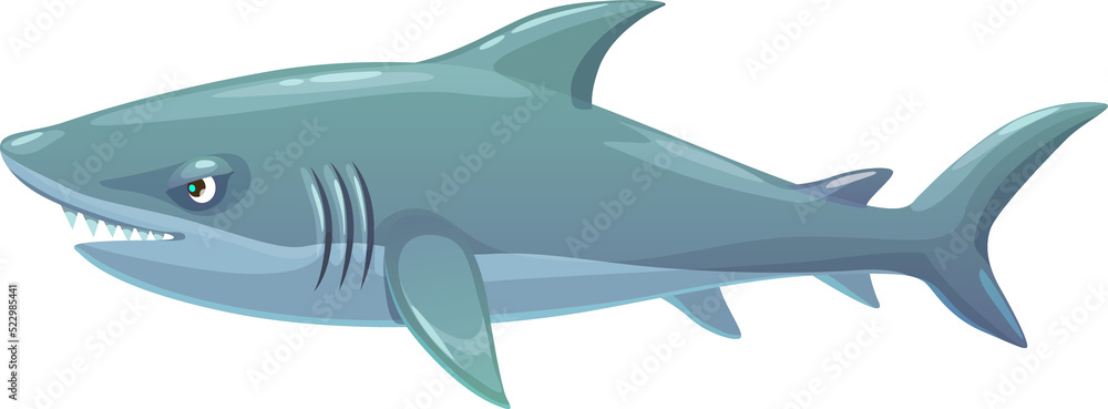 Fototapeta premium Shark underwater animal, isolated vector predator