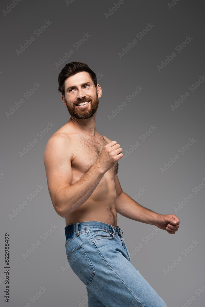 positive and shirtless man with beard standing in denim jeans isolated on grey. positive and shirtless man with beard standing in denim jeans isolated on grey.