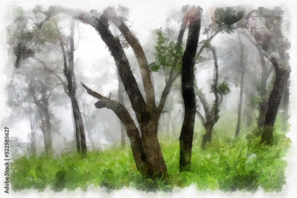 Fototapeta premium landscape of mountains forests trees and fog watercolor style illustration impressionist painting.