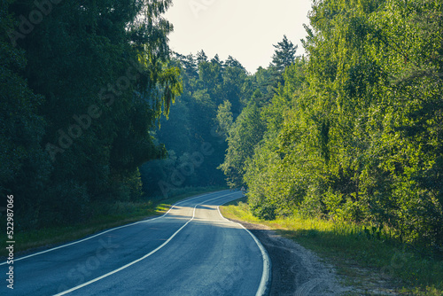 empty asphalt road in the forest in the summer at dawn