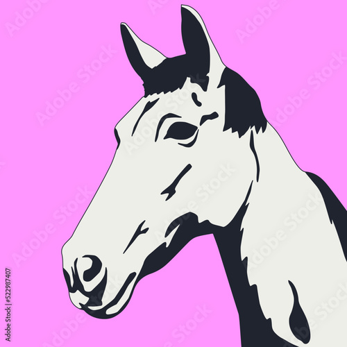 Fototapeta Naklejka Na Ścianę i Meble -  fashion minimal illustration. Stylish horse. animal lover concept