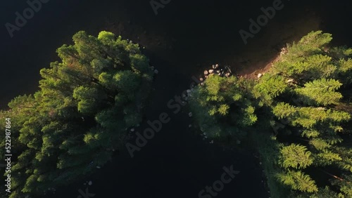 Verdant Pine Forest In Yazovir Shiroka Polyana- Reservoir Lake In Bulgaria. High Angle Shot photo