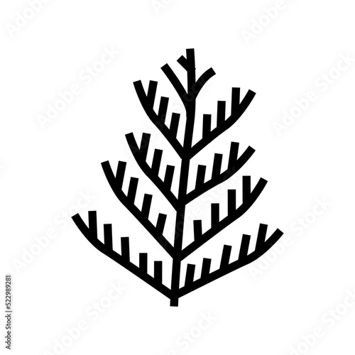cedar plant leaf glyph icon vector. cedar plant leaf sign. isolated symbol illustration