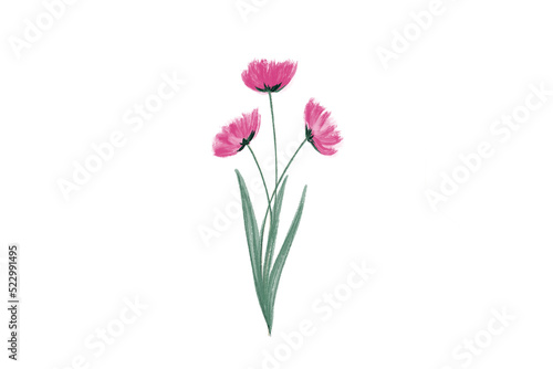 Painted Watercolor Flower isolated on white background, soft colorful style for using to artwork