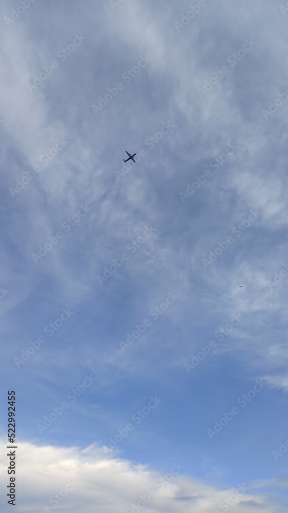 airplane in the sky airplane in the sky