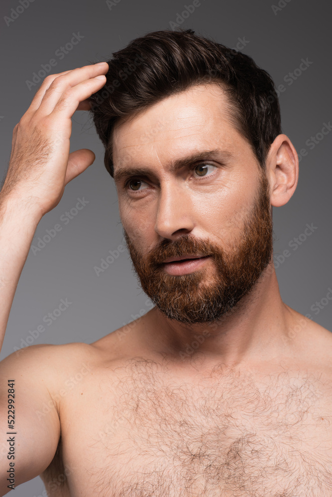 portrait of man with beard adjusting brown hair isolated on grey. portrait of man with beard adjusting brown hair isolated on grey.