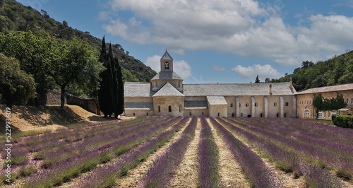 Abbaye Notre-Dame de Sénanque church and purple lavender field on Provence, France.