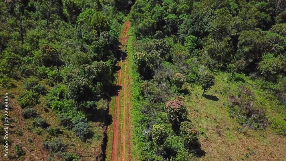 Group Of Hikers On Their Journey Along Mount Elgon Trails In Mountainous Forest Of Kenya, Africa. Aerial Drone Shot Group Of Hikers On Their Journey Along Mount Elgon Trails In Mountainous Forest Of Kenya, Africa. Aerial Drone Shot