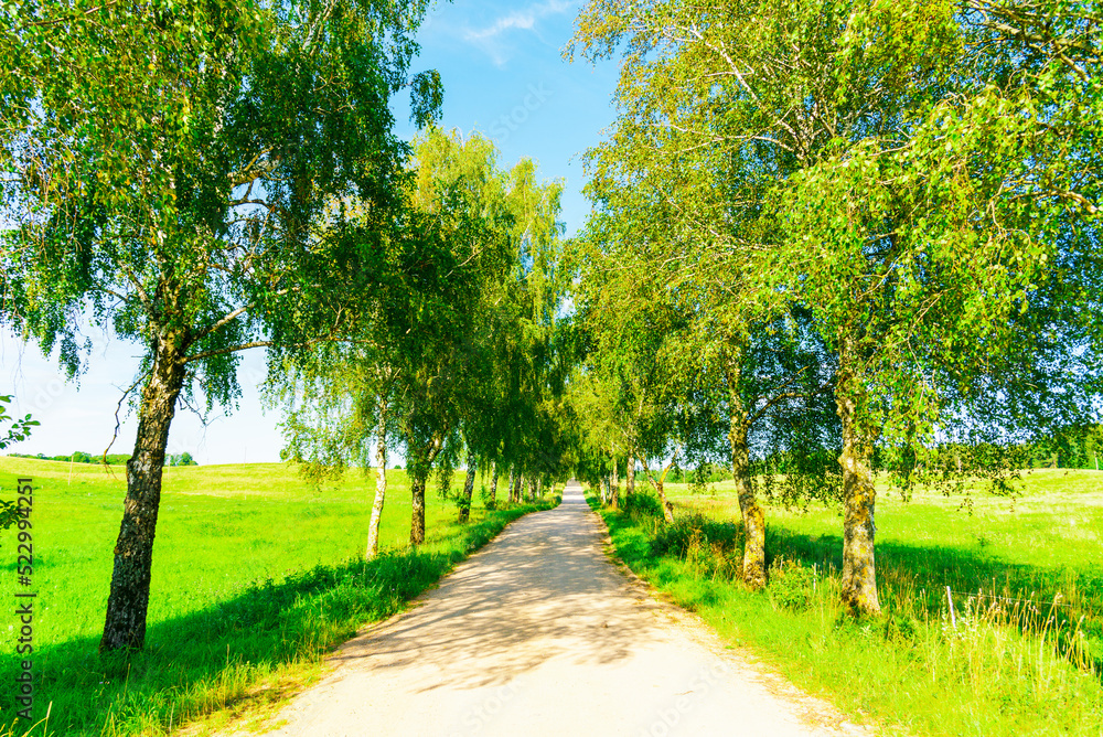 Summer Empty Country Road With Trees Beside.Landscape Concept. Long gravel road in summer nature landscape. Summer Empty Country Road With Trees Beside.Landscape Concept. Long gravel road in summer nature landscape.