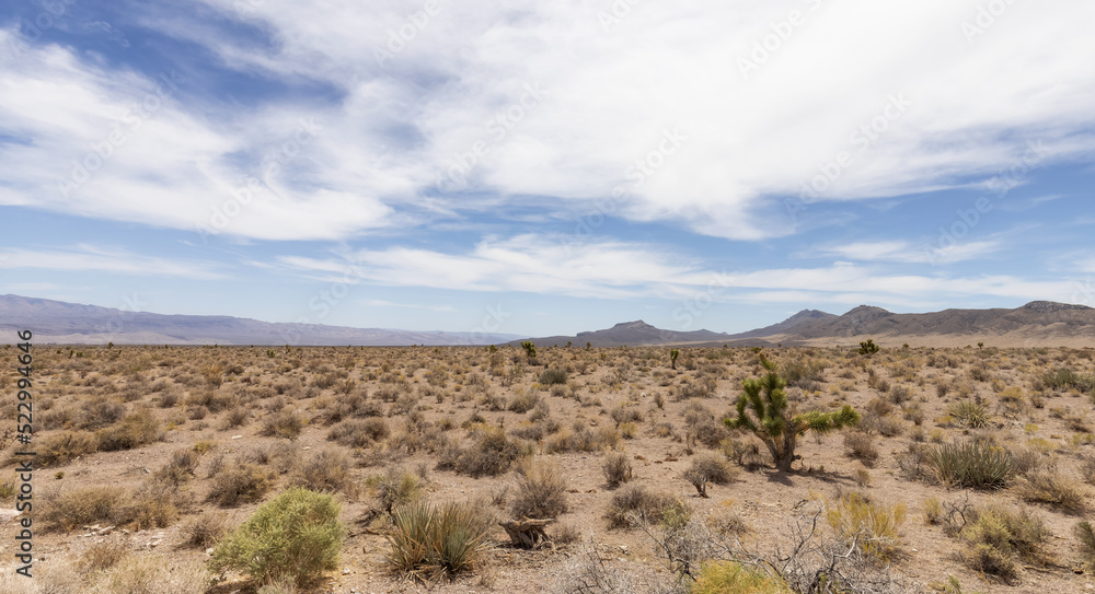Desert Scene in American Nature Landscape. Cathedral Gorge State Park, Panaca, Nevada, United States of America. Background