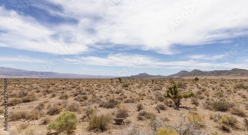 Desert Scene in American Nature Landscape. Cathedral Gorge State Park  Panaca  Nevada  United States of America. Background