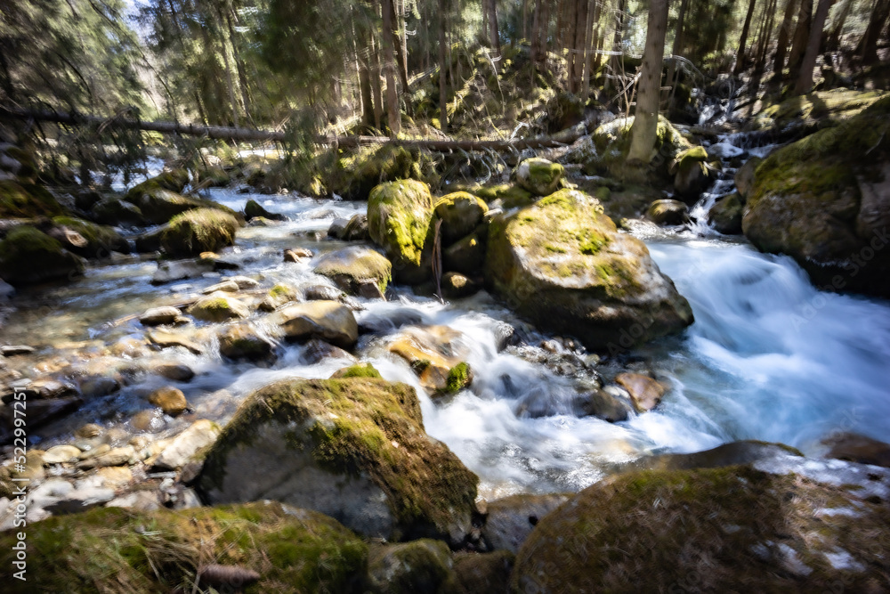 Spring time stream in the forest