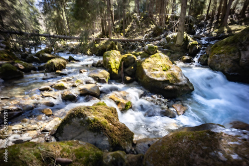 Spring time stream in the forest