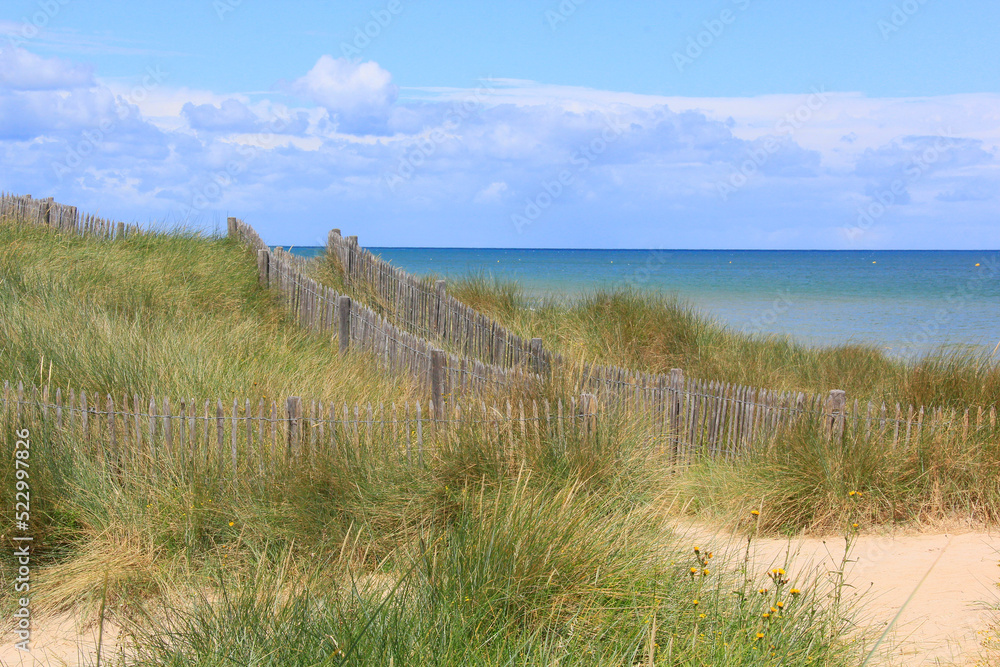 dunes sur le rivage