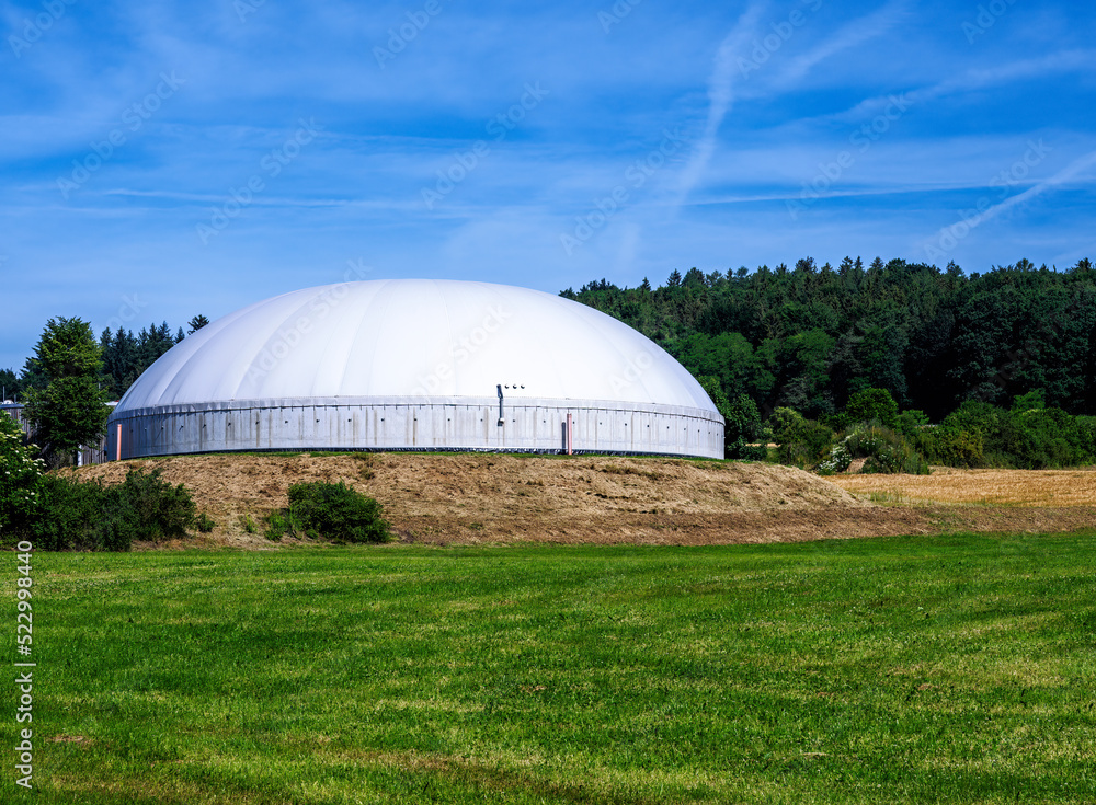 Alternative Energy with Bio Technology