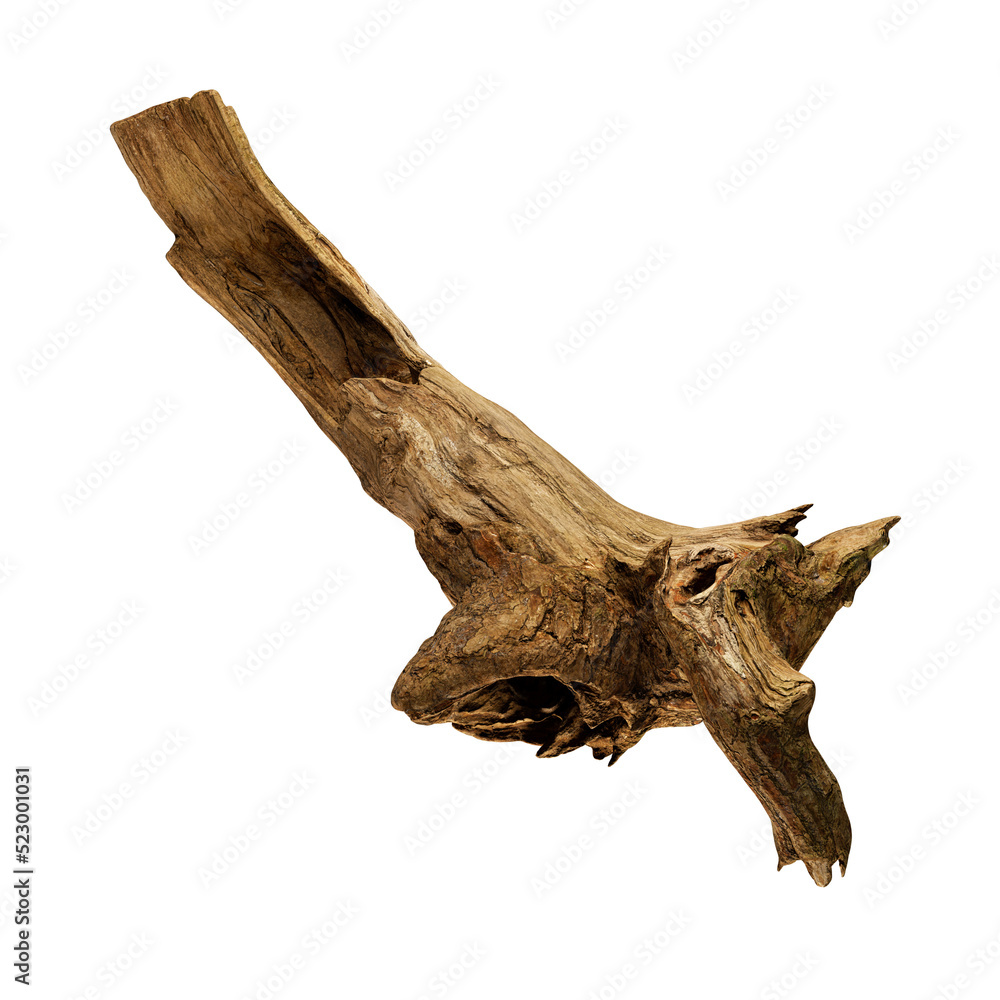 Fototapeta premium Tree Branch Dried Brown Isolated on Transparent Background