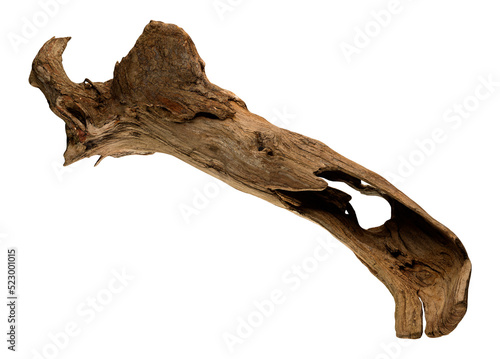 Tree Branch Dried Brown Isolated on Transparent Background