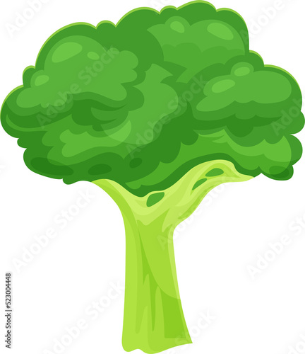 Cartoon stem of broccoli organic vegetarian food