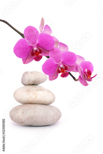 Pink orchid flowers and spa stone isolated on white.