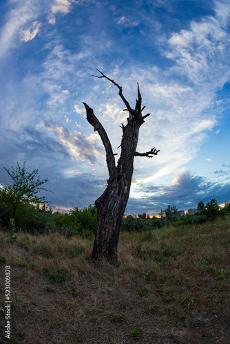 Картината върху платно The dead end of the further development of life and activity