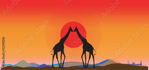 Giraffes love each other happily, couple giraffes show love. sunset background, 
 Kenya  afarica.