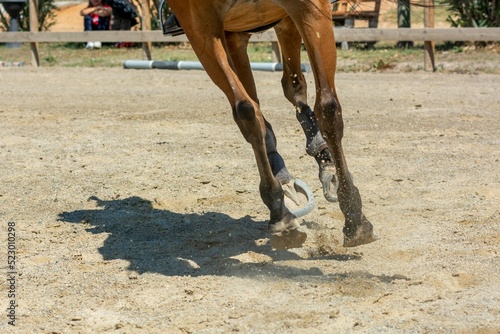 movement of the hooves that shake the ground at the equestrian school