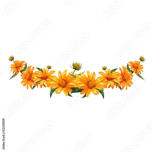 Fototapeta Naklejka Na Ścianę i Meble -  flower frame chamomile yellow illustration