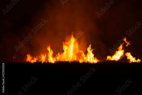 The fire burns the straw and the hay in the fields at night. in the northeastern part of Thailand southeast asia
