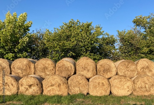 round hay bales are stacked in two layers in front of bushes 