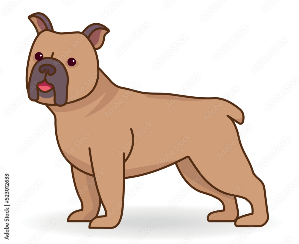 Fototapeta premium French Bulldog or Frenchie standing in profile. Funny dog breed isolated on white background. Colorful vector illustration in flat cartoon style