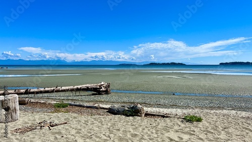 Rathtrevor Beach  Parksville calm Pacific Ocean in Vancouver Island the water went into the sea broken huge trees dried up lie on the beach as if after a storm silence calmness and no people.