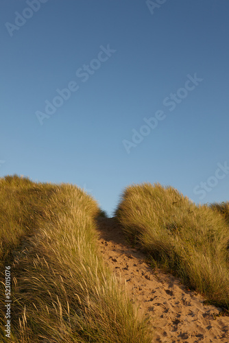 Sticker path to the sky