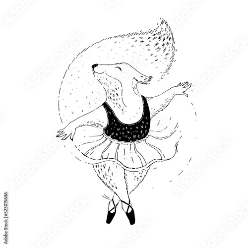 Vector illustration of a ballerina squirrel.  Dancing squirrel on a white background. Line illustration.  