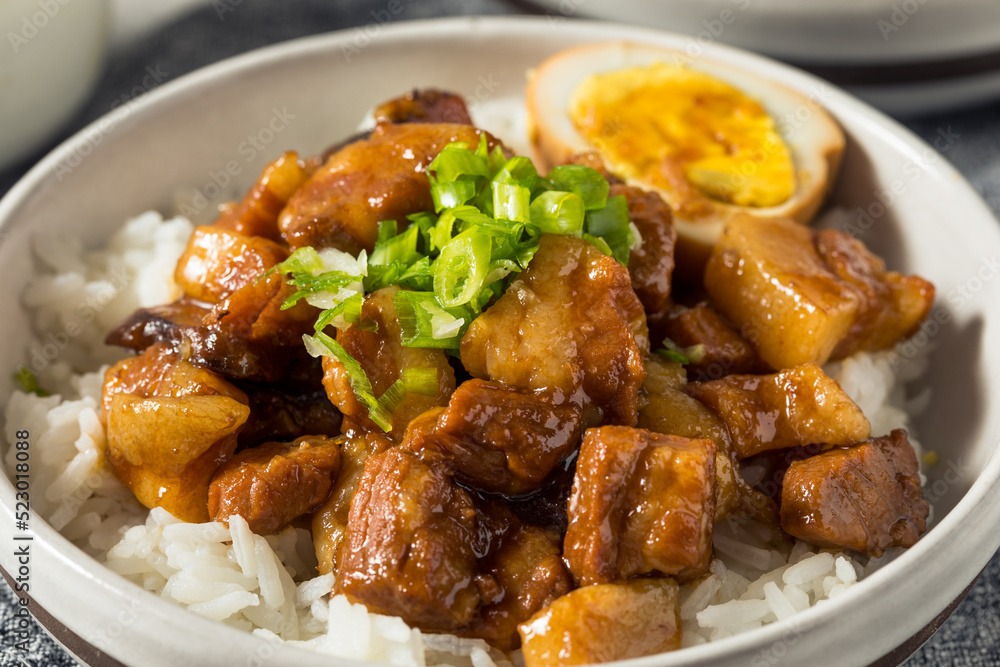 Homemade Taiwanese Lu Rou Fan Braised Pork and Rice