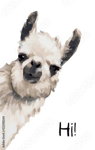 cute alpaca or llama. poster. animal. wildlife. vector illustration.  picture. art. design. watercolor